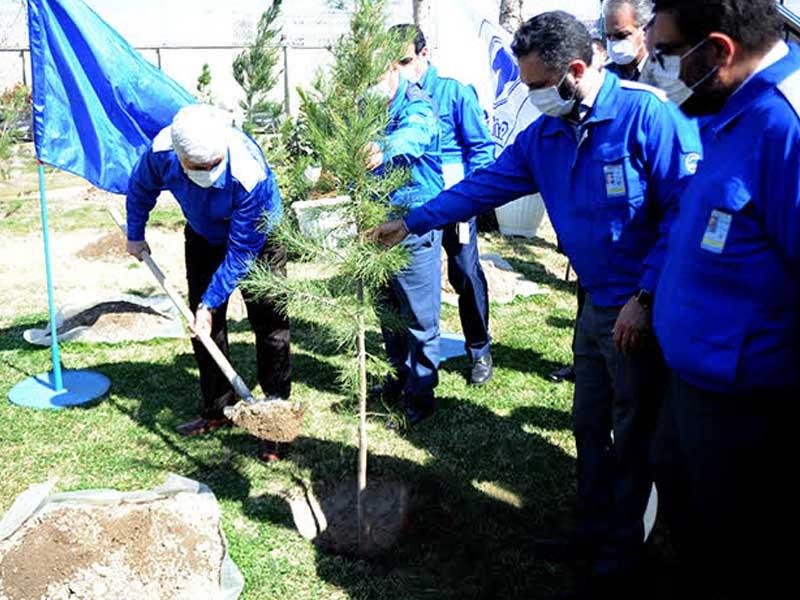 کاشت ۶۰۰ اصله نهال در شرکت ایران خودرو